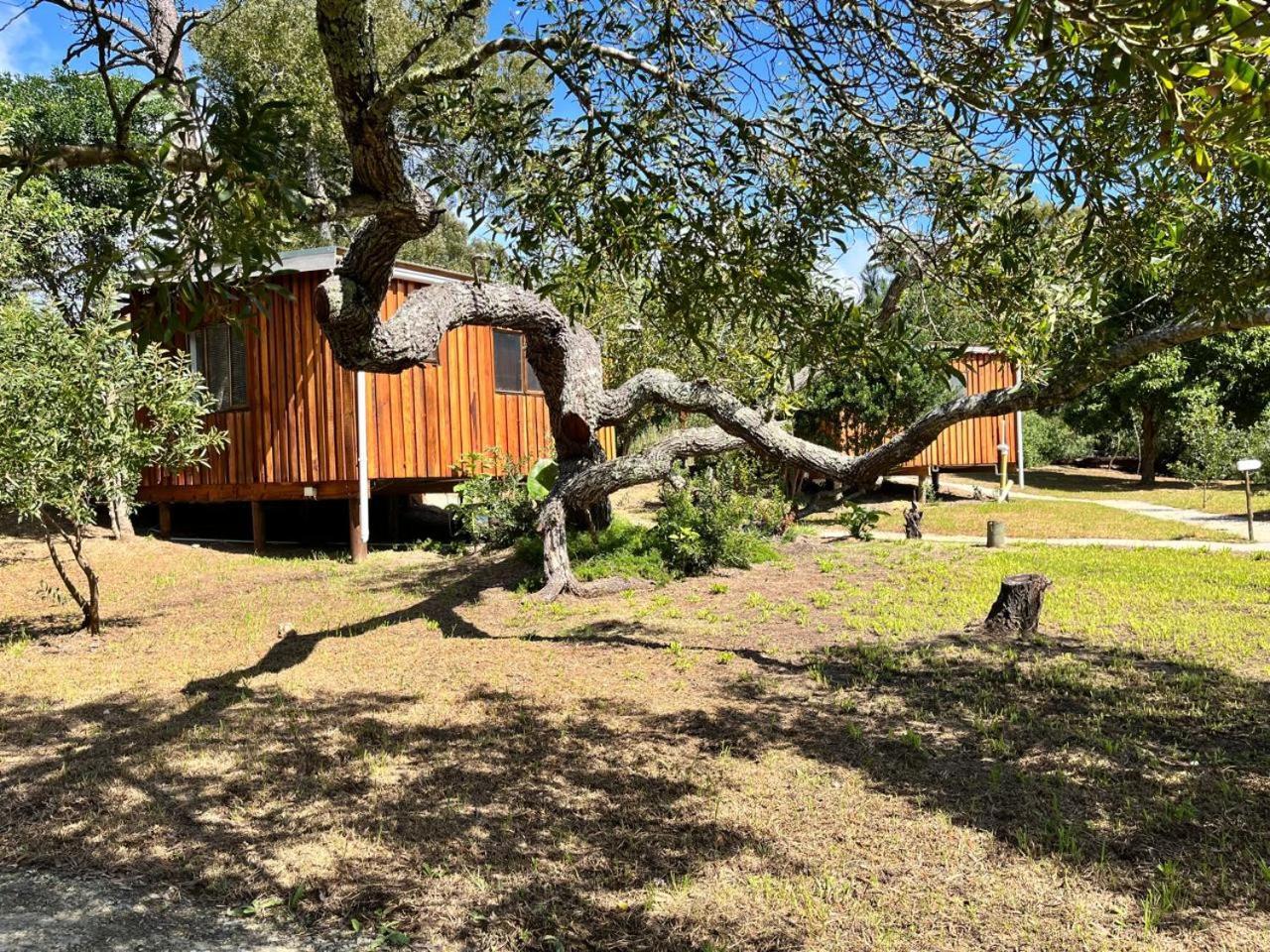 Forest Gate Resort プレッテンバーグ・ベイ エクステリア 写真