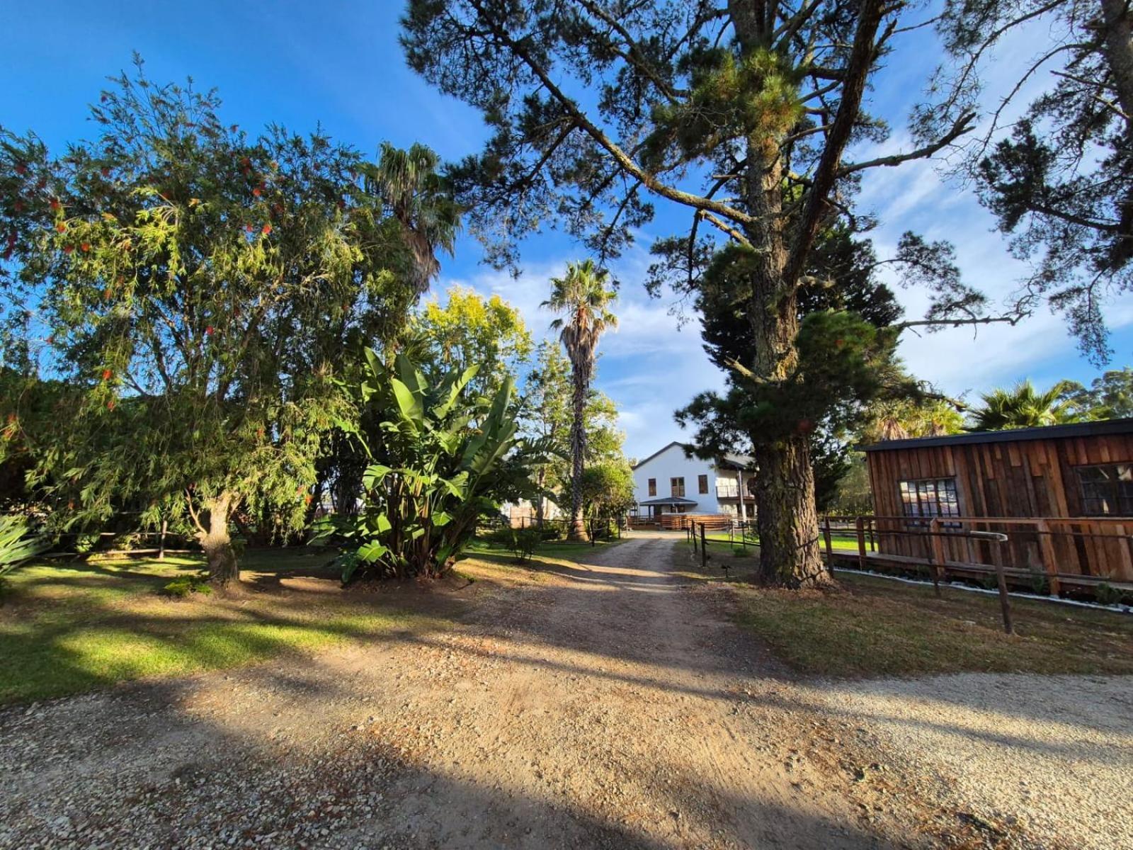 Forest Gate Resort プレッテンバーグ・ベイ エクステリア 写真